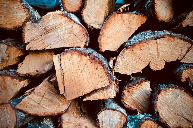 stack of firewood